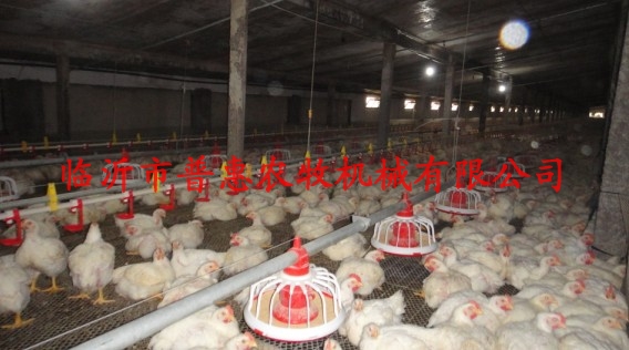 Automatic broiler feeding / broiler feed line / chicken / poultry environment control device for drinking water
